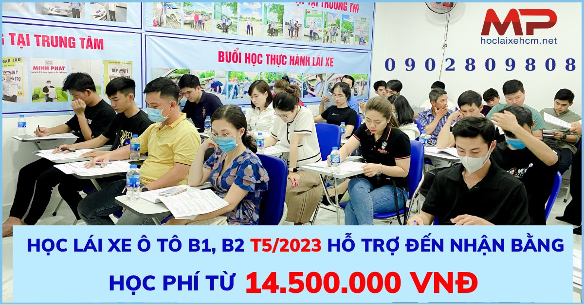 lĩnh vực hoạt động